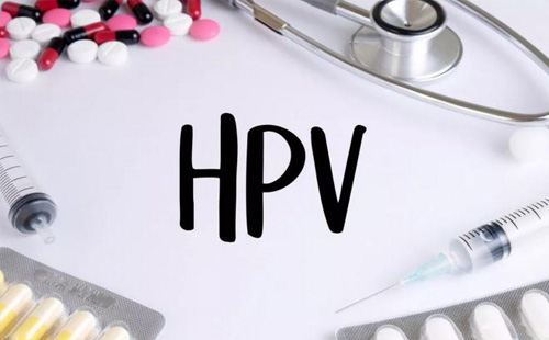 hpv1.jpg