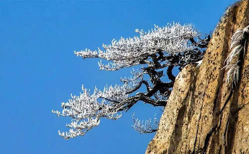 武漢周邊賞雪的景點推薦