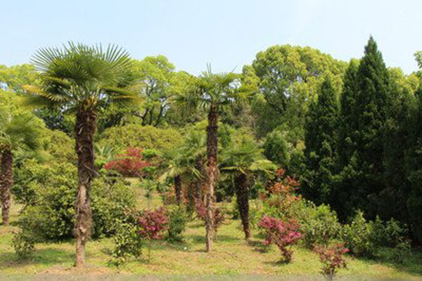 公園3.jpg