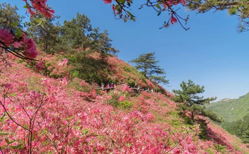 武漢踏春郊游好去處推薦