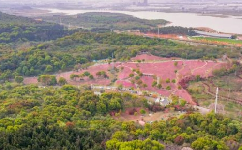 武漢蔡甸龍靈山生態(tài)公園要門票嗎