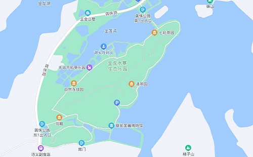 金龍水寨鹿野灣歡樂森林在哪