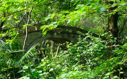 青龍山森林公園游玩攻略（地址+交通）