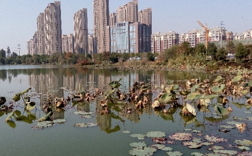 武漢秀湖公園怎么樣_在哪里