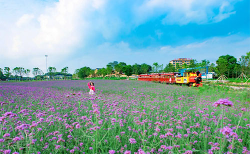 2022中國(guó)旅游日木蘭花鄉(xiāng)免費(fèi)門票