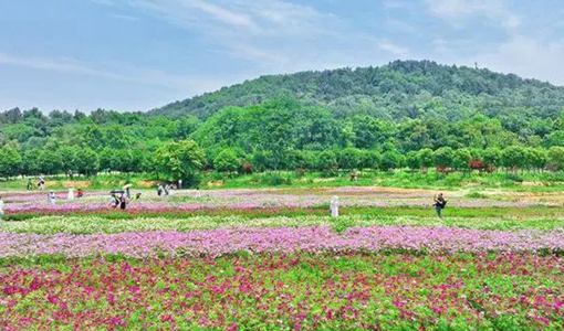 武漢花海樂(lè)園門票價(jià)格 在哪里