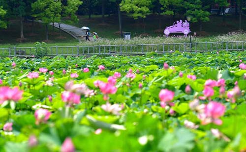 2023武漢野餐燒烤好去處