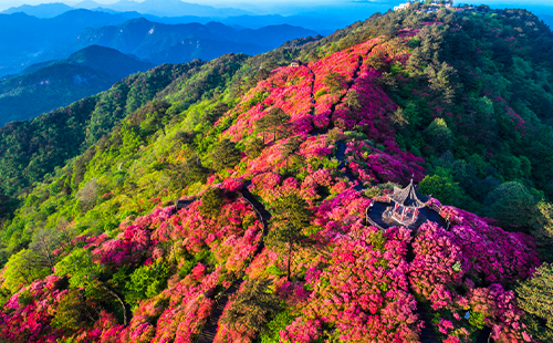 2023麻城龜峰山景區(qū)臨時閉園公告