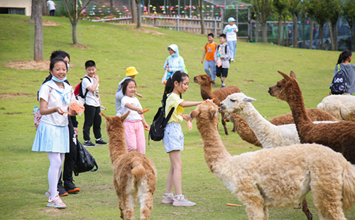 2023南京金牛湖野生動(dòng)物園免費(fèi)開(kāi)放日怎么預(yù)約(時(shí)間+入口+流程)