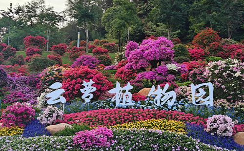 廣州云蘿植物園地址+開放時(shí)間+門票價(jià)格