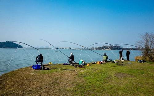 2022武漢釣魚的地方有哪些(8個(gè)釣魚好去處)