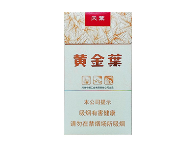 黃金葉天葉細(xì)支